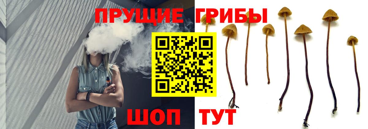 Псилоцибиновые грибы прущие грибы Балашов